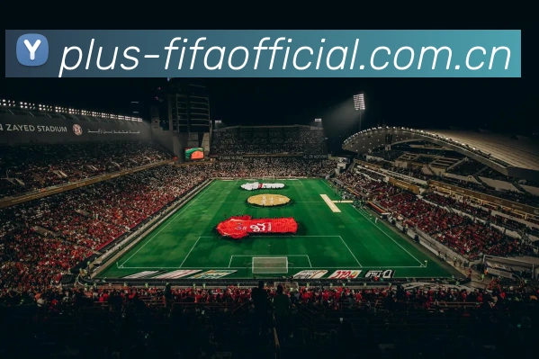 FIFA官方数据授权证书